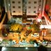 Ação foi realizada por uma equipe de Rotam em apartamento no Setor Bueno | Foto: Leitor / FZ