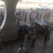 Motorista na contramão matou jovem de patinete e deixou motociclista ferido, em Anápolis | Foto: Reprodução
