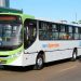 Linhas de ônibus em Aparecida de Goiânia | Foto: Rodrigo Estrela