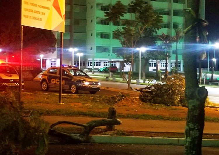 Após o flagrante do corte das árvores, fiscais da Semma a GCM de Aparecida | Foto: Divulgação / GCM