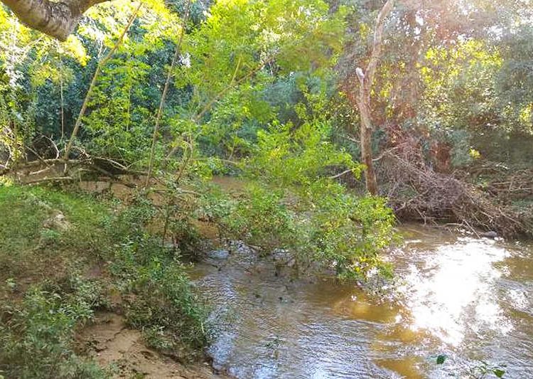 homem de 49 anos morreu afogado após tentar salvar 2 crianças no Rio Padre Sousa, em Pirenópolis | Foto: Reprodução