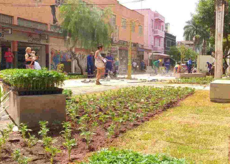 Nova Rua do Lazer Centro Goiânia