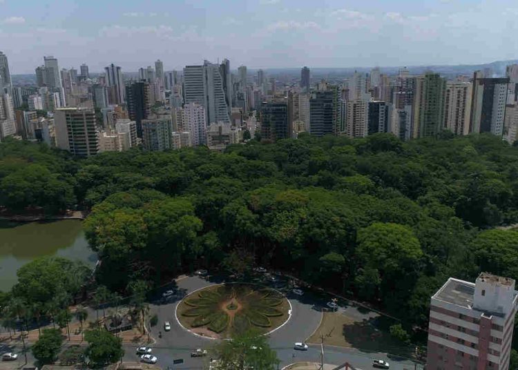 Bosque dos Buritis, entre os mais belos parques e bosques de Goiânia | Foto: Divulgação