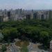 Bosque dos Buritis, entre os mais belos parques e bosques de Goiânia | Foto: Divulgação