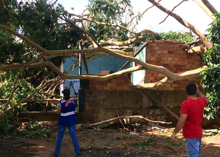 Cinco casas são interditadas pela Defesa Civil após chuva em Aparecida de Goiânia | Foto: Divulgação / Defesa Civil