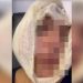 Homem é suspeito de atirar copo no rosto da cunhada em Aparecida | Foto: Reprodução / Mais Goiás