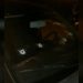 servidor Prefeitura Aparecida baleado