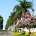 Concurso Prefeitura de Ipameri preencherá 175 vagas para vários cargos | Foto: Divulgação
