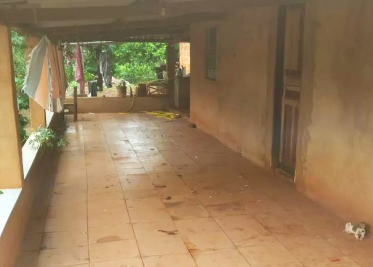 Vítima de 19 anos foi mantida em cárcere privado pelo agressor em Aporé (GO) | Foto: Reprodução / TV Anhanguera