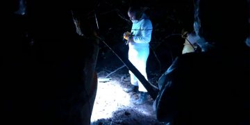 novas imagens gerente Fernanda