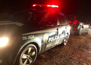 Polícia Civil | Foto: PCGO / Divulgação