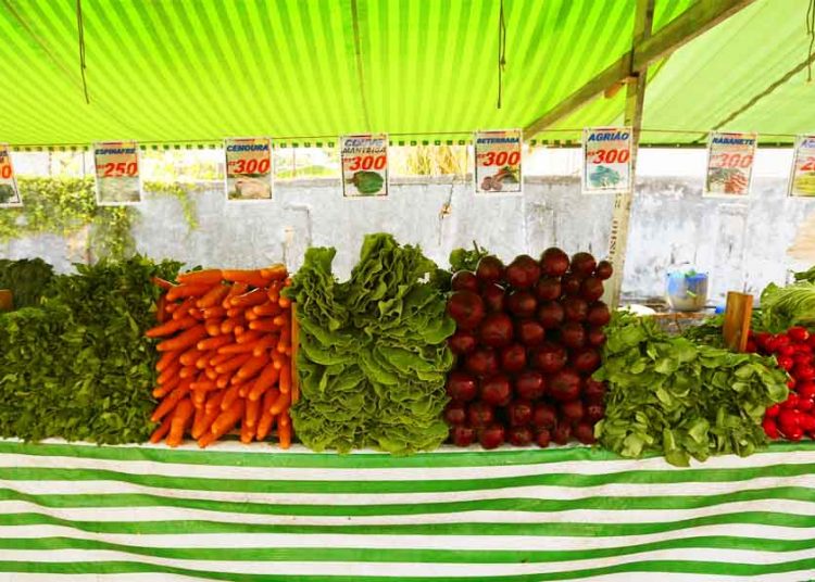Segundo a Associação dos Feirantes de Aparecida de Goiânia (Afag), são cerca de 7 mil pessoas que trabalham em feiras livres no município e dependem delas para o sustento das suas famílias | Foto: Cesar Ogata / Secom