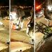 VÍDEO: Testemunhas gravaram ação da PM em ocorrência no setor Morada do Sol, em Goiânia | Foto: Reprodução