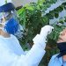 Vereadores de Aparecida fazem teste para coronavírus. Na foto, Araújo (MDB) recolhe amostra para testagem | Foto: Divulgação