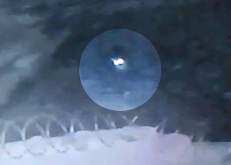 Onça é flagrada durante passeio perto de condomínio residencial em Goiânia | Foto: Reprodução