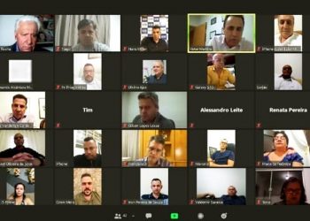 Em reunião online, PSD debate estratégia para Aparecida de Goiânia | Foto: Reprodução