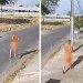 Samu resgata homem nu em Aparecida após surto | Foto: Reprodução/Câmeras de Segurança