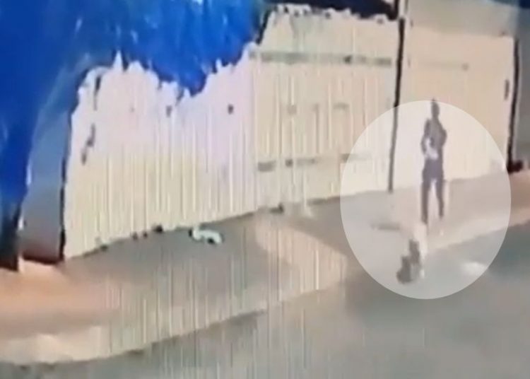 câmeras homem cachorro