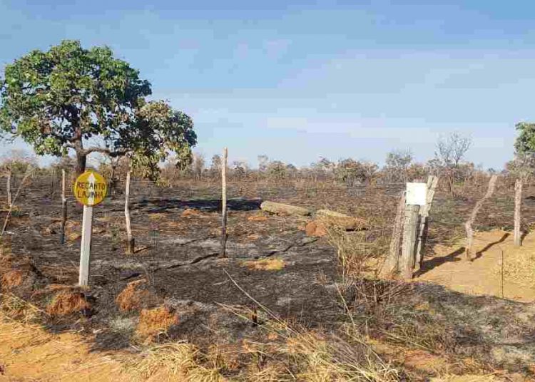incêndio Serra da Areia