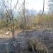 incêndio vegetação Tiradentes