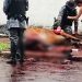 Cavalo atropelado pertencia à Cavalaria da PM-GO | Foto: Leitor/FZ