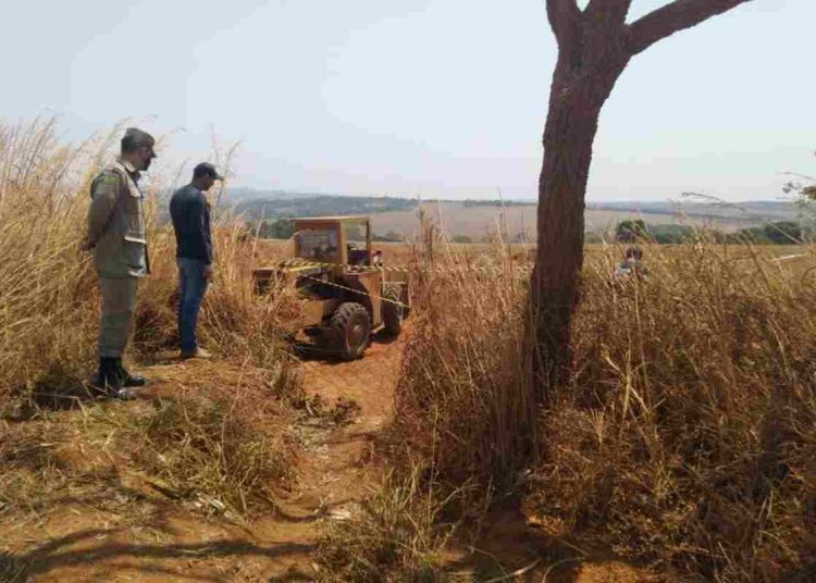 corpo encontrado Anápolis