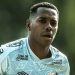 Robinho foi condenado em 1ª instância por estupro na Itália | Foto: Ivan Storti/Santos FC