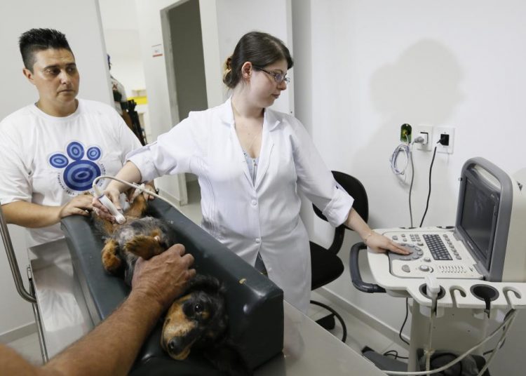 hopsital-veterinario-publico-prefeitura-goiania