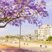 Sabe quanto ganha o prefeito de Aparecida? E vereadores e assessores? Informação é pública | Foto: Reprodução