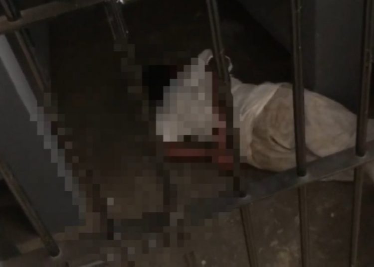 preso finge tortura Aparecida