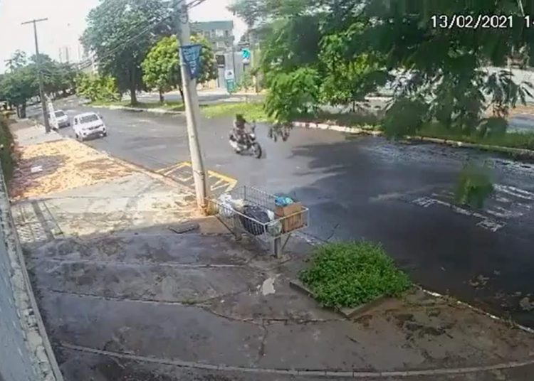 árvore motociclista Goiânia