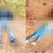 Casal foi encontrado sem vida em área rural do setor Quinta da Boa Vista | Foto: Leitor/FZ