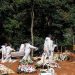 Foto: Fotoarena/Agência O Globo