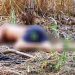 Vítima de latrocínio em Aparecida de Goiânia | Foto: Divulgação/PCGO