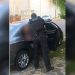 GIH Aparecida prende terceiro suspeito de homicídio no Jardim dos Ipês | Foto: Divulgação / PCGO