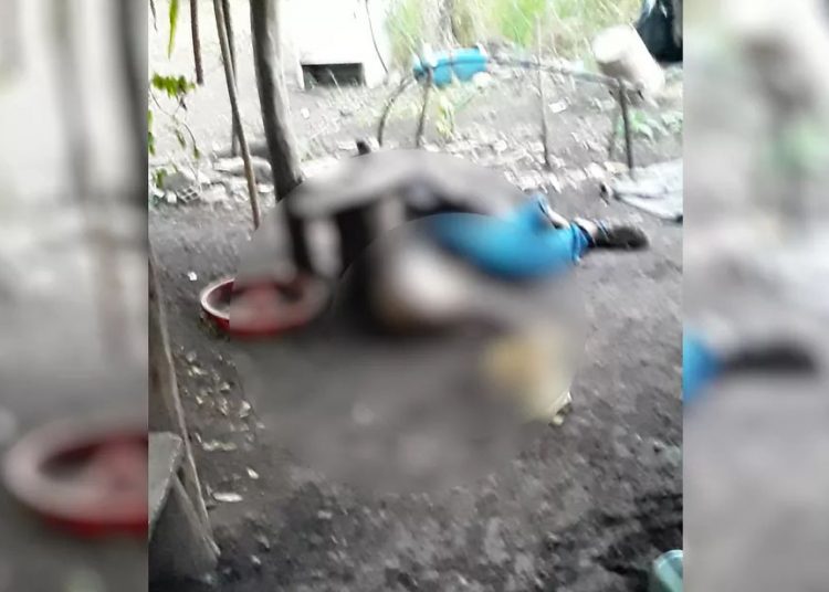 Foto: Polícia Civil