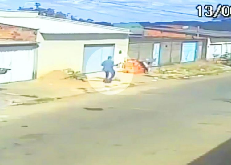 Homem se aproxima de cachorro acerta pedra em sua cabeça | Foto: Reprodução