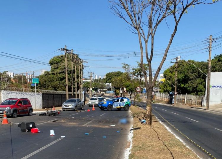 Motociclista bateu em árvore e morreu no local | Foto: Polícia Civil
