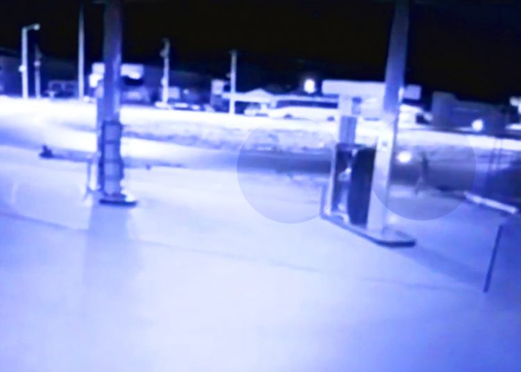 Polícia Militar (PM) prendeu 2 jovens suspeitos do roubo e assassinato cometido contra um porteiro na noite desse domingo (8) em Goiânia | Foto: Reprodução