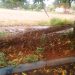 Prefeitura de Goiânia tem de indenizar pais de menino morto ao ser atingido por poste em campo de futebol | Foto: Reprodução