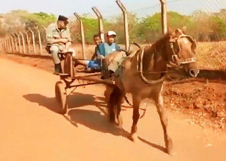 PM transporta preso de carroça em Goiânia | Foto: Reprodução
