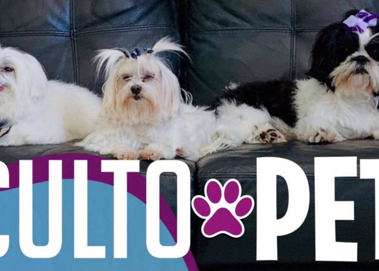 Igreja anuncia culto pet em Goiânia | Foto: Divulgação/ Fonte da Vida