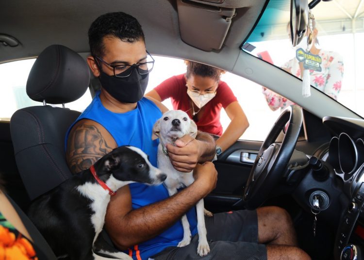 Dia D da vacinação antirrábica ocorre em 51 pontos de Aparecida | Foto: Divulgação/Prefeitura de Aparecida