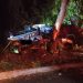 Colisão contra árvore provocou morte de agente da PRF | Foto: Divulgação