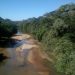 Região de mata próximo a Dueré | Foto: Olavo Xavante | Cidades do Meu Brasil