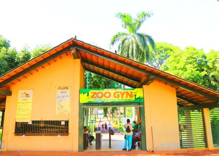 Zoológico de Goiânia | Foto: Divulgação / Agetul
