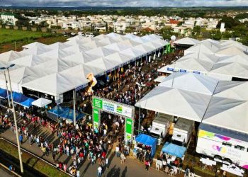 Mutirão do Governo de Goiás | Foto: Divulgação
