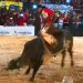 Rodeio Show de Aparecida de Goiânia | Foto: Reprodução