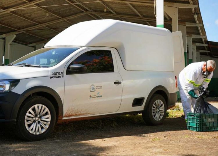 Prefeitura de Goiânia coleta animais mortos em residências e vias públicas | Foto: Francis Maia / Comurg