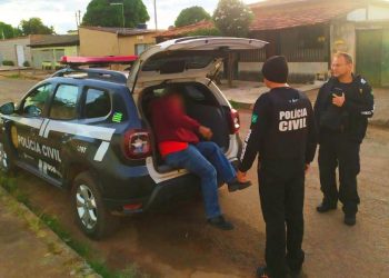 Operação São Francisco de Assis prende homem que agredia filhote de cão Pastor Alemão | Foto: Divulgação / PCGO
